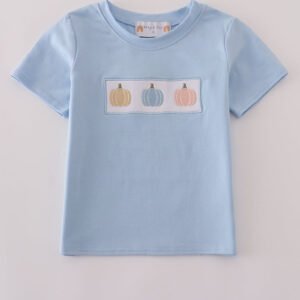 Blue embroidery top